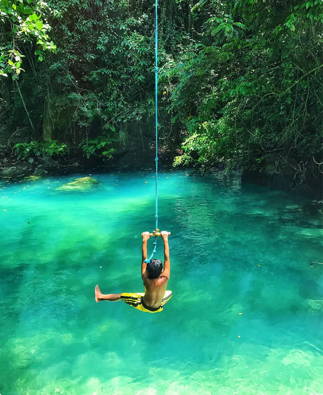 Swimming in crystal clear waters